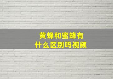 黄蜂和蜜蜂有什么区别吗视频