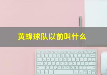 黄蜂球队以前叫什么