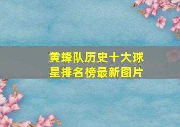 黄蜂队历史十大球星排名榜最新图片