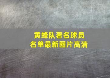 黄蜂队著名球员名单最新图片高清