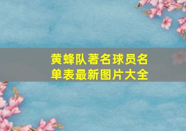 黄蜂队著名球员名单表最新图片大全