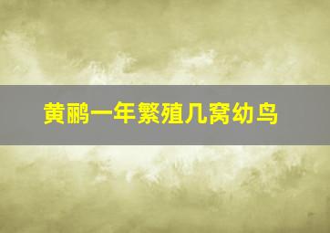 黄鹂一年繁殖几窝幼鸟