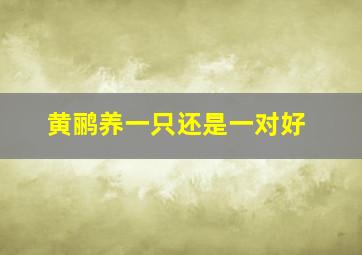 黄鹂养一只还是一对好