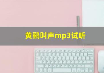 黄鹂叫声mp3试听