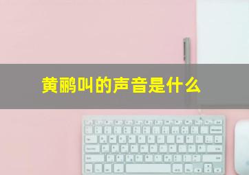 黄鹂叫的声音是什么