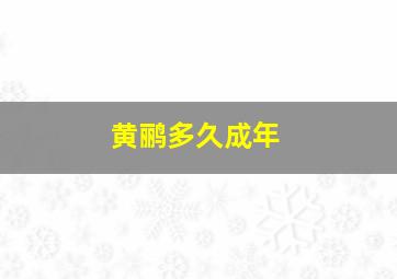 黄鹂多久成年