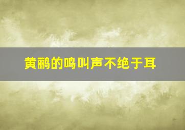 黄鹂的鸣叫声不绝于耳