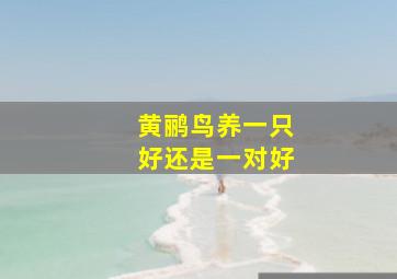 黄鹂鸟养一只好还是一对好