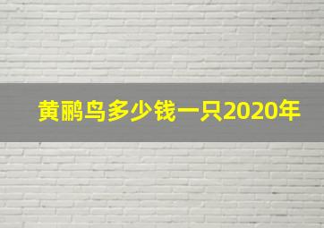 黄鹂鸟多少钱一只2020年