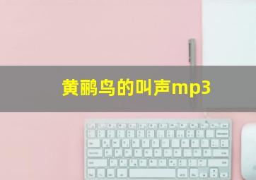 黄鹂鸟的叫声mp3