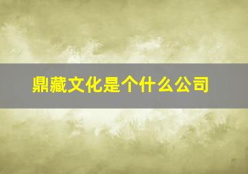 鼎藏文化是个什么公司