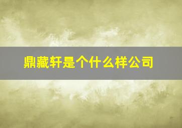 鼎藏轩是个什么样公司