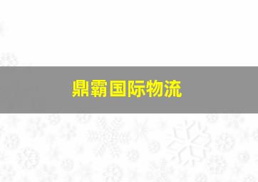 鼎霸国际物流