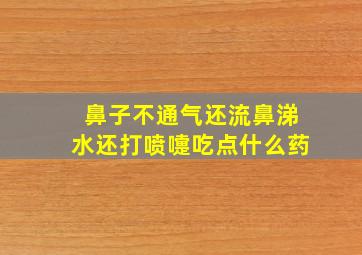 鼻子不通气还流鼻涕水还打喷嚏吃点什么药