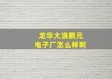 龙华大浪鹏元电子厂怎么样啊