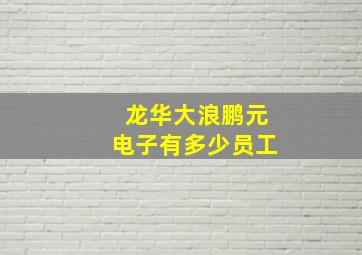 龙华大浪鹏元电子有多少员工