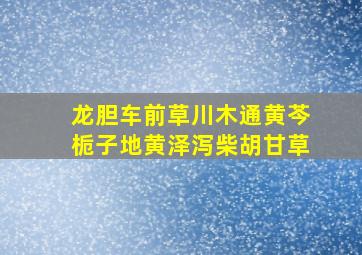 龙胆车前草川木通黄芩栀子地黄泽泻柴胡甘草