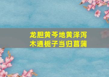 龙胆黄芩地黄泽泻木通栀子当归菖蒲